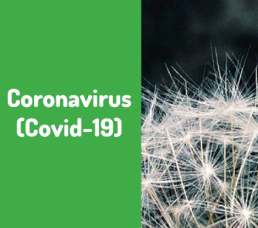 Des mesures supplémentaires pour renforcer la double stratégie de lutte contre le rebond du Coronavirus
