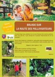 A la rencontre des pollinisateurs