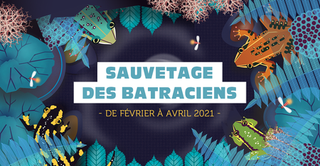 Illustration de l'actualité - cliquer pour agrandir