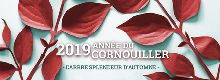 Illustration de l'actualité - cliquer pour agrandir
