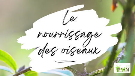 Illustration de l'actualité - cliquer pour agrandir