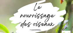 Illustration de l'actualité - cliquer pour agrandir