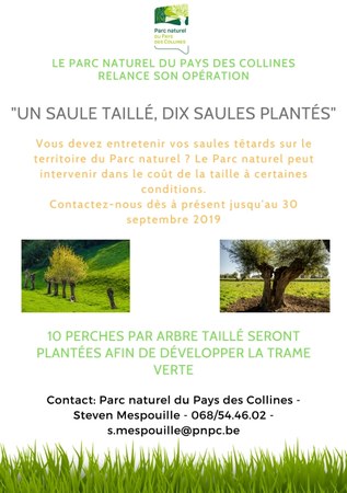 Illustration de l'actualité - cliquer pour agrandir
