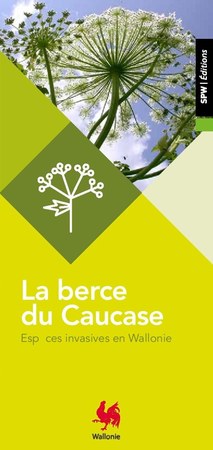 Illustration de l'actualité - cliquer pour agrandir