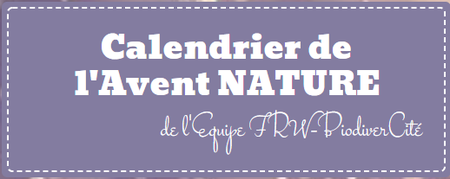 Illustration de l'actualité - cliquer pour agrandir