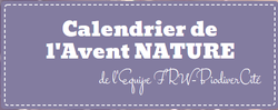 Un calendrier de l'avent avec des actions Nature