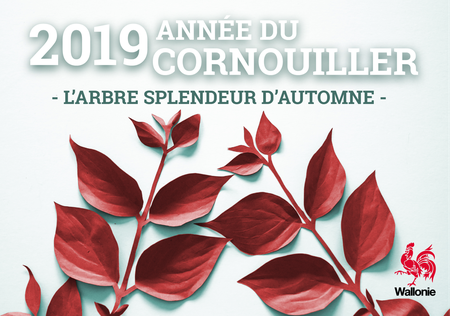 Illustration de l'actualité - cliquer pour agrandir