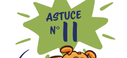 Illustration de l'actualité - cliquer pour agrandir