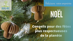 Quelques conseils pour un Noël respectueux de la planète